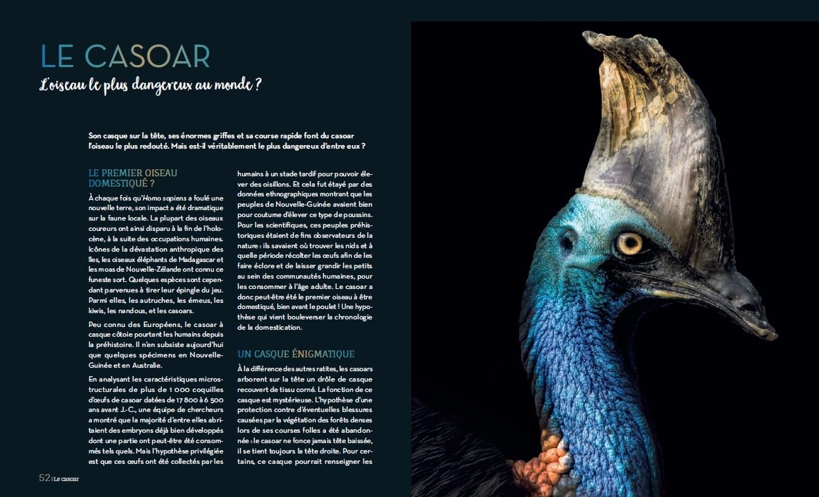 Enigmatiques – La vie secrète des animaux les plus impressionnants