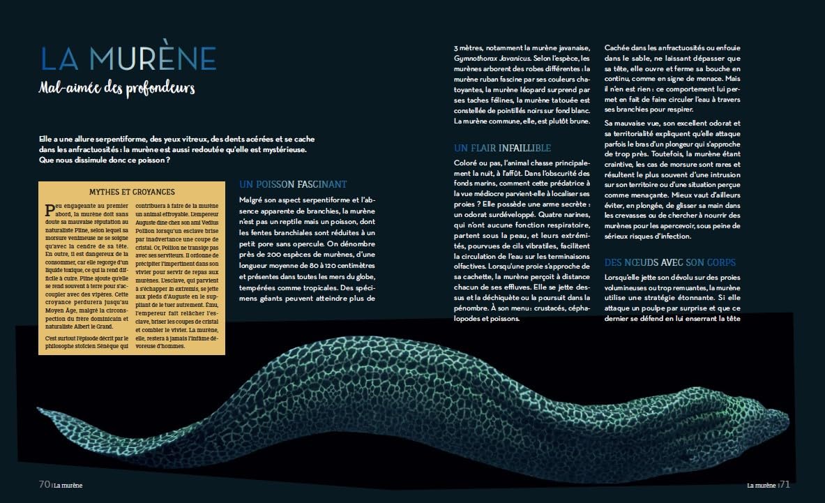Enigmatiques – La vie secrète des animaux les plus impressionnants