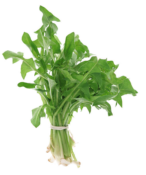 Classement des légumes les plus riches en vitamine E