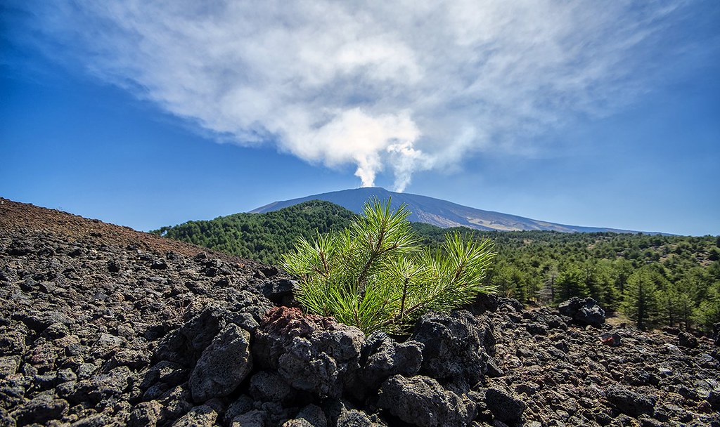 L’Etna est l’un des volcans les plus actifs d’Europe