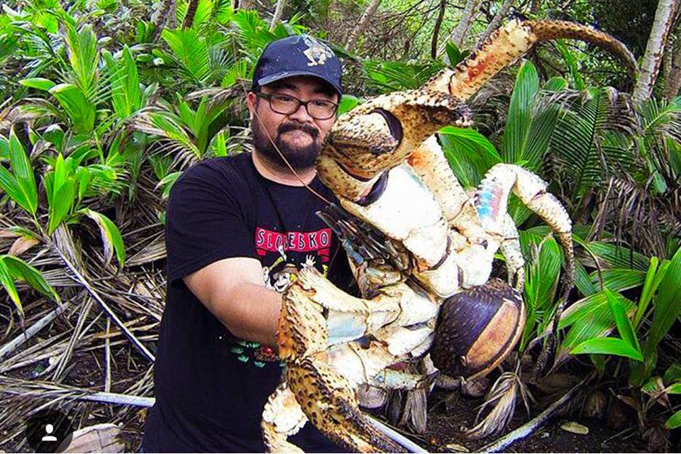 Touriste photographié avec un crabe de cocotier