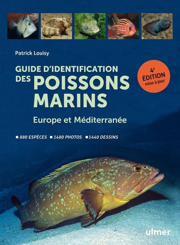 Guide des poissons marins – Europe et Méditerranée